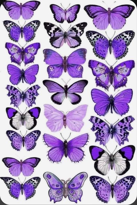 College Doodles, Kits Natura, Umbrella Painting, Yoongi Wallpaper, Min Yoongi Wallpaper, Butterfly Printable, Purple Butterfly, Printable Stickers, Artificial Plants