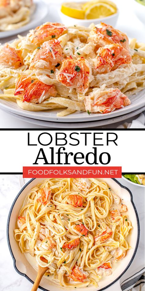 Shrimp Ravioli Recipe Alfredo Sauce, Lobster Alfredo Recipe, Simple Seafood Recipes, Lobster Meals, Lobster Alfredo, Fetuchini Alfredo, Seafood Ideas, Alfredo Recipes, Lobster Recipe