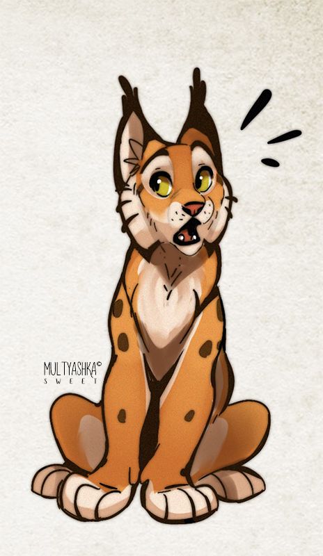 Linx Cat Drawing, Lynx Drawing Cartoon, Lynx Cat Drawing, Lynx Oc, Bobcat Drawing, Lynx Drawing, Big Cats Art, Cat Sketch, Warrior Cats Art