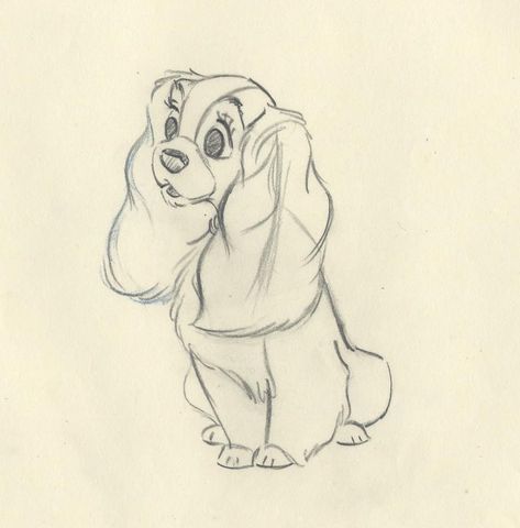 Lady MEDIUM: ​ Original Production DrawingIMAGE SIZE: 15.5" x 12.5" PRODUCTION: Lady and the Tramp YEAR: 1955FRAMING: Deluxe Framing IncludedSKU: CCV1613 ABOUT THE IMAGE: This rough animation drawing of Lady was created by Disney animator George Nicholas in development of a scene in Walt Disney's CinemaScope animated feature. It is an animator's extreme drawing with grid drawn at lower right. Lady wonders "What is a baby, anyway?" as Jim Dear passes her by on the stairs. George Nicholas supervis Rough Animation, Animation Drawing, Cool Pencil Drawings, Disney Sketches, Cartoon Sketches, Pinturas Disney, Animated Drawings, Lady And The Tramp, Cute Easy Drawings