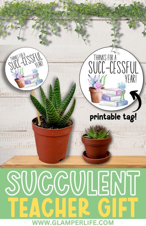 Back To School Plant Gift, Teacher Appreciation Succulent Printable, Succulents Teacher Appreciation, Teacher Succulent Gift Tag, Thank You Plants Appreciation Gifts, Aloe Vera Plant Teacher Gift, Succulent Teacher Gift Printable Tags, Teacher Succulent Quotes, Succulents For Teacher Appreciation