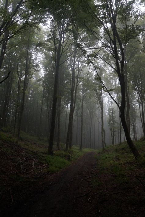 Henry Core, Dark Scenery, Dark Weather, Dark Naturalism, Dark Forest Aesthetic, Nature Witch, Twilight Aesthetic, Forest Aesthetic, Honeymoon Spots