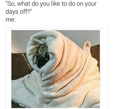 Nurse humor. :) Sick Meme, Night Shift Humor, Nurse Rock, Hilarious Stuff, Work Quotes Funny, Strong Arms, Funny Af, Nursing Memes, A Pug