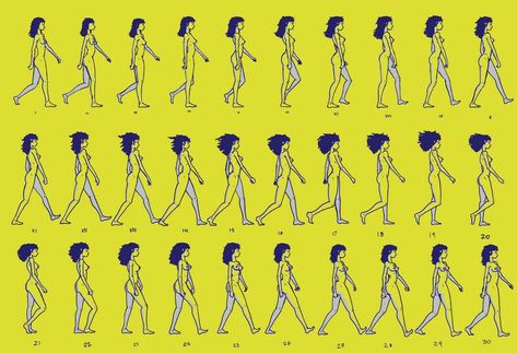 Female Walk Cycle, Sketching Women, Walk Cycle Reference, Animation Walk Cycle, Walking Animation, Walking Poses, Walk Cycle, Learn Animation, Animation Storyboard