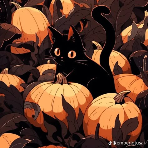 Discord Profile Banner, Profile Banner, Black Cat Pumpkin, Discord Profile, Cat Pumpkin, Pumpkins, Black Cat, Orange, Halloween