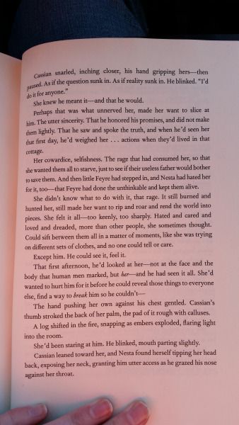 Part 9 of the bonus scene with Nesta and Cassian Nests And Cassian Scenes, Nesta And Cassian Scenes, Nesta Cassian, Cassian And Nesta, The Court Of Dreams, A Court Of Dreams, Court Of Thrones And Roses, Court Of Dreams, Feyre And Rhysand