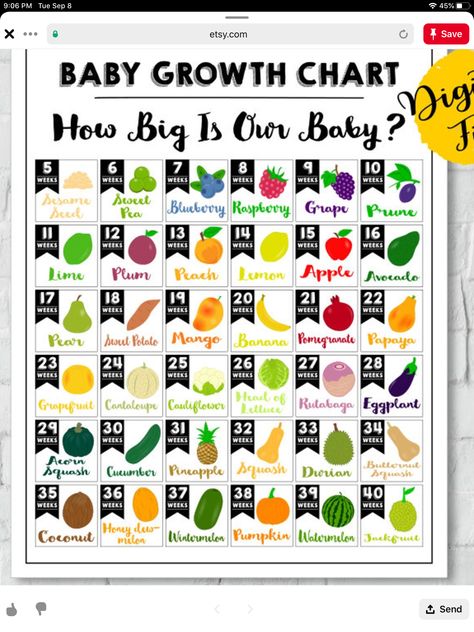 Trimester Chart, Pregnancy Week, Pregnancy Guide, Pregnancy Week By Week, Baby Birth, Family Memories, Baby Size, Baby Stuff, Shower Ideas