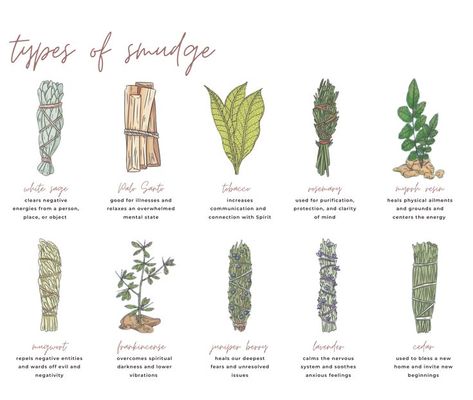 Different Smudging Sticks, Make Your Own Sage Bundle, Lavender Sage Smudge Sticks, Different Smudge Sticks Meaning, Different Types Of Smudge Sticks, Smudging Without Sage, Thyme Smudge Stick, Rosemary Sage Smudge Sticks, Cedar Sage Benefits