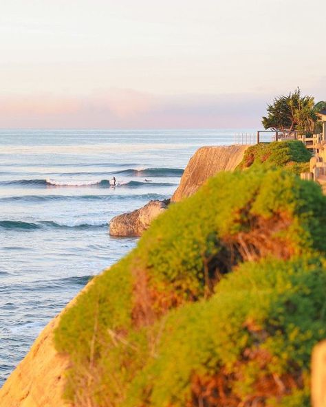 Visit Santa Cruz County on Instagram: “Pleasure Point morning with the talented, @beelop. 🙌🌊✨ #ThisIsFall Photos 📷 @beelop #letscruzsafely #pleasurepoint #santacruz…” Wilder Ranch State Park, Redwood Tree, Visit Santa, Hidden Beach, Surf Lesson, Natural Bridge, Tide Pools, Big Tree, Great Outdoors