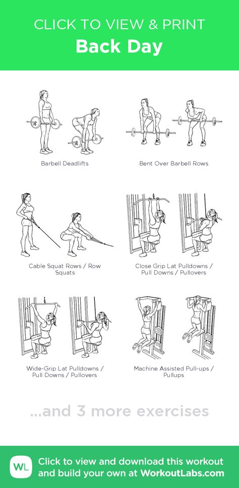 Back Day – click to view and print this illustrated exercise plan created with #WorkoutLabsFit Planet Fitness Workout Plan Machines, Weight Machine Workout, Planet Fitness Workout Plan, Back Day Workout, Workout Labs, Assisted Pull Ups, How To Work Out, Gym Workout Plan, Gym Workout Plan For Women