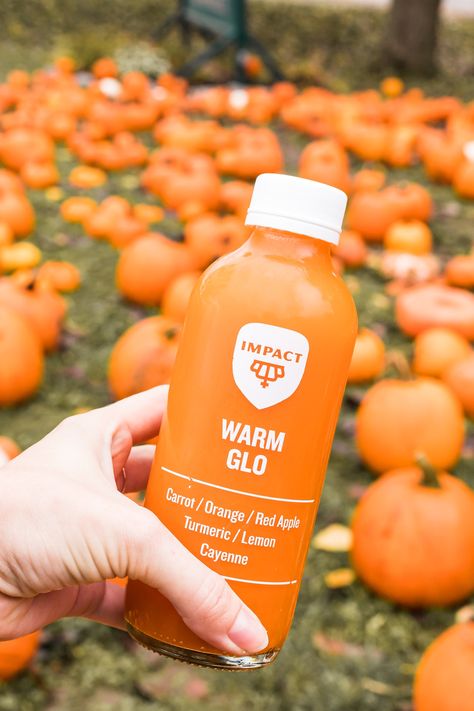 OCTOBER VIBES 🍂⁠🎃🍁⁠ ⁠ Everything is better in orange especially when it is high in vitamin A, supports glowing skin, and is detoxifying. ⁠ ⁠ Find WARM GLO and many more cold pressed juices in our retail fridge: ⁠ 🧡Certified Organic⁠ 🧡Made fresh daily⁠ 🧡No GMOs ⁠ 🧡No toxic pesticides⁠ ⁠ #ImpactEveryday October Vibes, Pressed Juice, Cold Pressed Juice, Apple Juice, Vitamin A, Cold Pressed, Pesticides, Red Apple, Glowing Skin