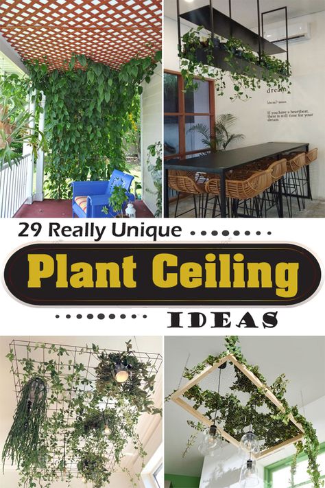 Plant Ceiling, Hang Plants From Ceiling, Hanging Plants Outdoor, Fake Hanging Plants, Blue Deck, Plant Display Ideas, Flower Ceiling, Indoor Plant Wall, Hanging Plant Wall