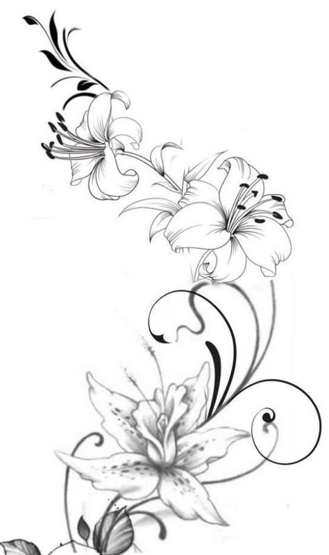 Orchid Tattoo Stencil, Lilly Tattoo For Women, Flower Arm Sleeve Tattoo, Lilly Flower Tattoo, Rose Vine Tattoos, Flower Vine Tattoos, Swirl Tattoo, Lillies Tattoo, Lily Tattoo Design