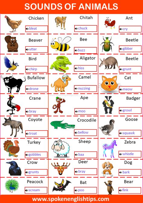 The sounds of animals are very amazing as humans communicate with their sounds just by ... Continue reading... Animals And Their Sounds, Animal Sounds Worksheet, Animal Sounds Activity, Young Ones Of Animals, Gender Of Animals, Onomatopoeia Activities, Male And Female Animals, Animals Name List, General Knowledge For Kids