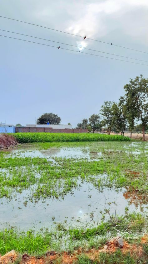 Most beautiful village scene after rain. Village Rain Photography, Rain In Village, Rain Village, Bandra Worli Sea Link, Nature Village, Night Rain, Village Photography, After Rain, Village Scene