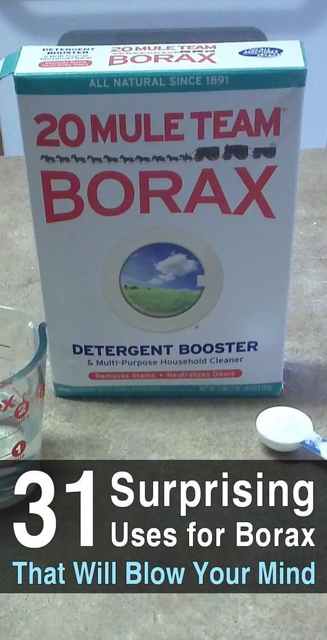 Uses For Borax, Borax Uses, Clean Hacks, Homemade Toilet Cleaner, Clean Baking Pans, Cleaning Painted Walls, Deep Cleaning Tips, Household Cleaning Tips, Cleaners Homemade