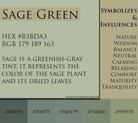 Green Color Psychology, Green Meaning, Green Color Meaning, Sage Herb, Best Bedroom Colors, Rgb Color Codes, Sage Plant, Colorful Interior Design, Sage Green Color