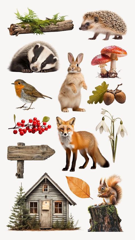 Woodland design element set | free image by rawpixel.com / Boom Animal Clipart Free, Elf Ranger, Flora Y Fauna, Wood Animal, About Animals, Bird Tree, Woodland Animal, Animal Clipart, Printable Labels