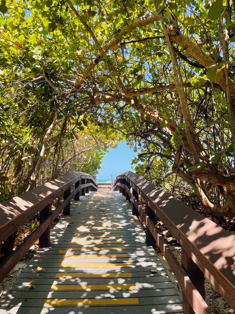 Florida Beach Town Aesthetic, Marco Island Florida Aesthetic, Moving To Florida Aesthetic, Life In Florida, Vintage Florida Aesthetic, Florida Summer Aesthetic, Florida Beach Aesthetic, English Countryside Home, Beach Farm