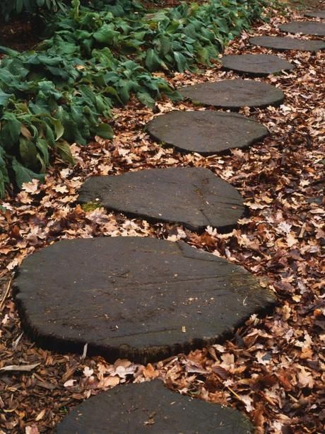 Ideas on Landscaping with Gravel/Rocks as a Ground Cover. Bark Chips Awesome Gardens, Gravel Landscaping, Walkway Landscaping, Hgtv Garden, Walkways Paths, Garden Stepping Stones, Estate Garden, Sloped Garden, Tree Slices