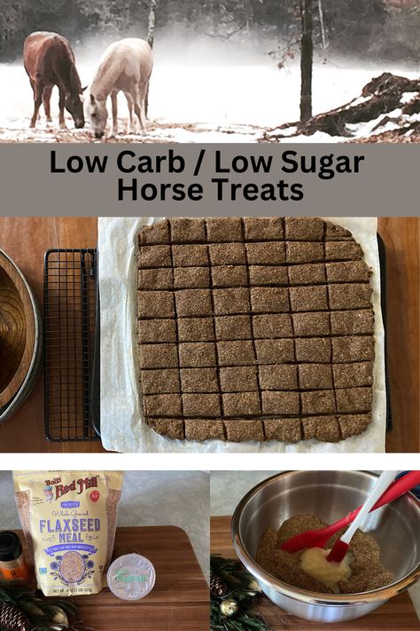 Healthy Horse Treats Homemade, Apple Horse Treats Recipe, Horse Snacks Treats, Soft Horse Treats, Horse Presentation Ideas, Diy Horse Snacks, Healthy Horse Treats, Horse Treats Recipe Easy No Bake, Homemade Horse Treats Recipes