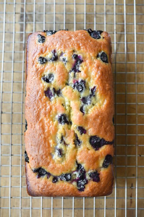 Lemon Yogurt Muffins, Blueberry Yogurt Cake, Blueberry Loaf Cakes, Blueberry Bread Recipe, Lemon Blueberry Loaf, Yogurt Bread, Lemon And Blueberry, Blueberry Loaf, Blueberry Yogurt