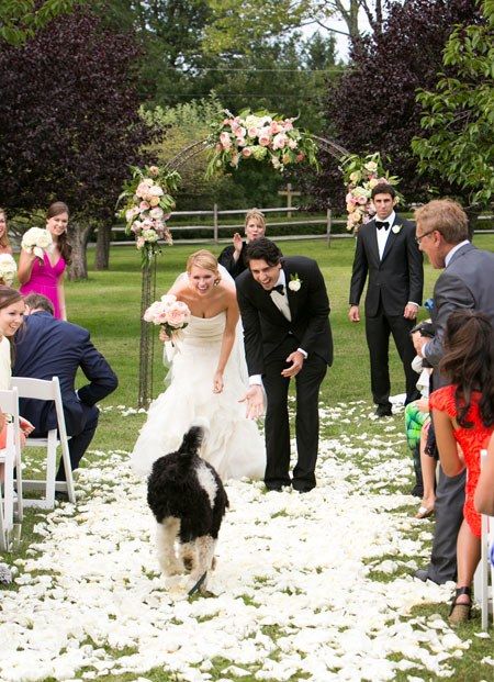 Wedding Day Messages, Wedding Pets, Dog Wedding, Ideal Wedding, Walking Down The Aisle, Fairytale Wedding, The Groom, Wedding Pics, Here Comes The Bride