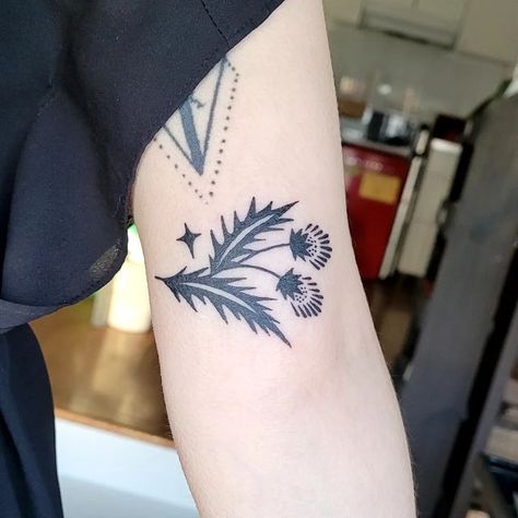 Icelandic Flower Tattoo, Art Nouveau Thistle Tattoo, American Traditional Thistle Tattoo, Thistle Folk Art, Traditional Thistle Tattoo, Traditional Folk Tattoo, Irish Gaelic Tattoo, Small Floral Tattoo, Flower Tattoo Placement