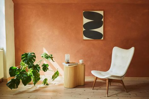 Terracotta Limewash, The Hoxton, Limewash Paint, Lime Paint, The Alchemist, Color Lab, Paint Colour, Storing Paint, Wall Finishes