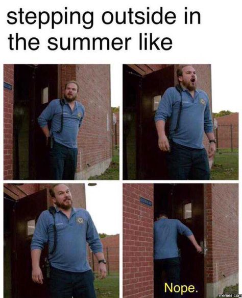 33 Funny Summer Memes That Are Bringing The Heat Hate Summer, Summer Humor, Orange Is The New, Memes Humor, Orange Is The New Black, Bones Funny, Louisiana, I Laughed, The Outsiders