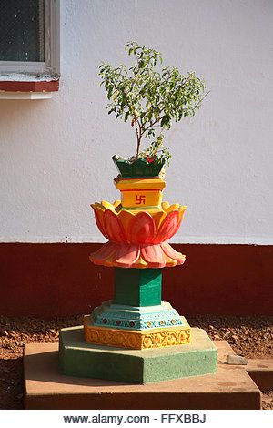 Thulasi Plant Decoration, Tulsi Vrindavan, Thulasi Plant, Tulasi Plant, Tulsi Pot, Tulsi Plant, Plant Inspiration, Diy Beach Decor, Janmashtami Decoration