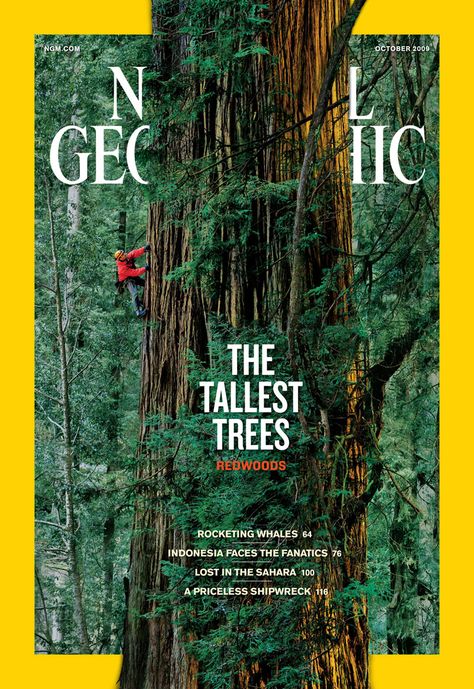 National Geographic Cover, National Geographic Photography, Outdoor Magazine, Desain Editorial, Theme Nature, National Geographic Magazine, Nature Posters, Tall Trees, Magazine Layout