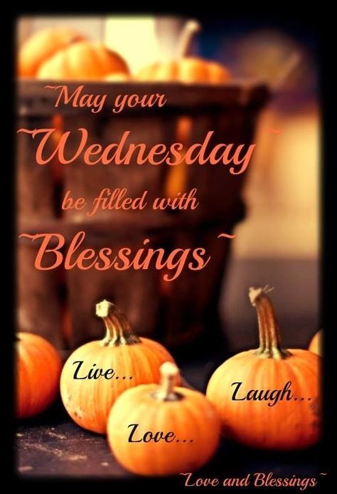 May Your Wednesday Be Filled With Blessings wednesday hump day wednesday quotes happy wednesday wednesday quote happy wednesday quotes wednesday blessings autumn wednesday quotes Wednesday Fall, Wednesday Hump Day, Happy Wednesday Images, Wednesday Morning Quotes, Wednesday Greetings, Good Wednesday, Blessed Wednesday, Good Morning Wednesday, Happy Wednesday Quotes