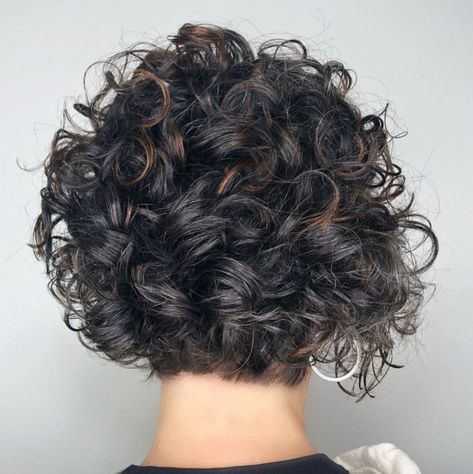 Curly A Line Bob Hairstyles, Heavily Layered Bob, Perm Bob, Curly Inverted Bob, Curly Brunette, Blonde Balayage Bob, Brunette Bob, Bob Haircut Curly, Curly Hair Photos