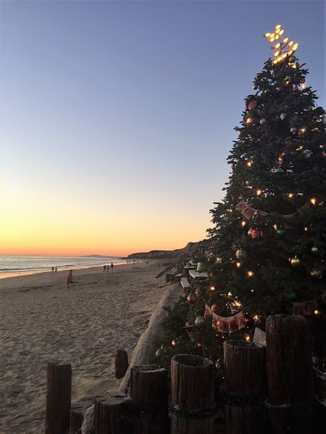 Christmas Summer Aesthetic, Christmas In Summer Aesthetic, Christmas Aesthetic Summer, Australia Christmas Aesthetic, California Christmas Aesthetic, California Winter Aesthetic, Christmas On The Beach Photos, Christmas Pics On The Beach, Christmas At The Beach Aesthetic