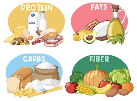 Free vector food nutrition groups set | Free Vector #Freepik #freevector #fat-cartoon #food-clipart #food-groups #carbs Main Food, Nutrition Month, Birthday Captions Instagram, Micro Nutrients, Food Cartoon, Vector Food, Food Groups, Birthday Captions, Food Nutrition