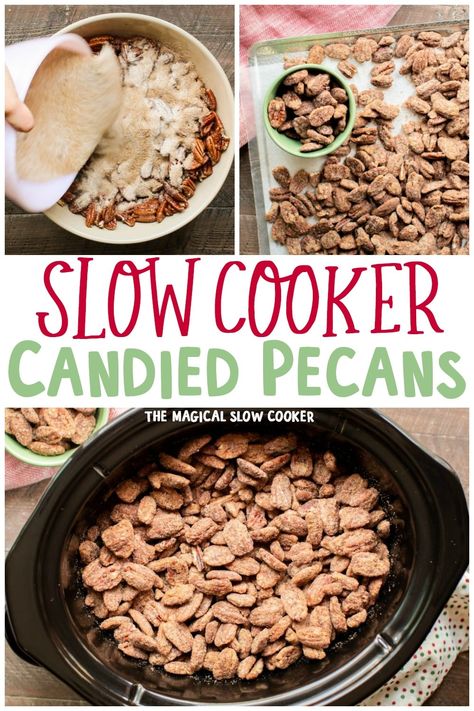 These Slow Cooker Candied Pecans are perfect for a snack or for gift giving. This recipe makes plenty - The Magical Slow Cooker Crockpot Candies Pecans, Candied Pecans Crockpot Easy, Crockpot Praline Pecans, Candy Pecans Recipe Easy Crockpot, Candied Pecans In Crockpot, Crock Pot Pecans Candied, Crockpot Pecan Candy Recipes, Pecan Crockpot Candy, Crock Pot Candied Pecans