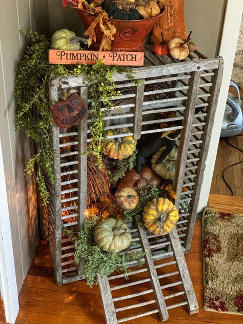 Pumpkin patch Crate Ideas For Christmas, Chicken Crate Ideas Decor, Autumn Crate Decor, Chicken Crate Ideas, Old Apple Crate, Antique Chicken Crate, Vintage Crate Bookshelf, Crate Decor, Antique Bird Cages