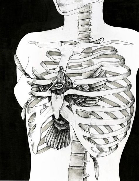 Skeleton Illustration, Dark Art Drawings, Desenho Tattoo, Wow Art, Bukowski, Anatomy Art, Surreal Art, Dark Art, Blue Bird