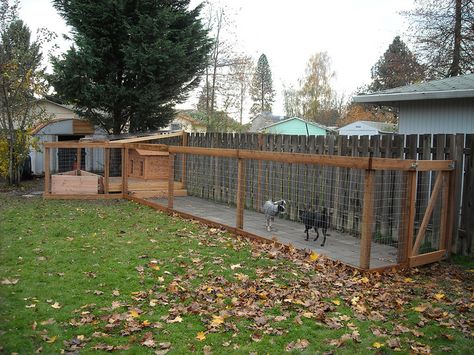 I like the concrete paver run, not sure about the traingular ara to the left. Dog Run - Completed with Dogs Added by MacSquiz, via Flickr Diy Dog Run, Outdoor Dog Area, Outdoor Dog Runs, Backyard Dog Area, Dog Potty Area, Dog Backyard, Dog Kennel Designs, Dog Run, Dog Spaces