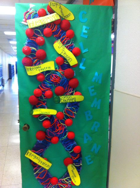 2015 DNA Day Door Contest Winner!  Congrats Kayla.  Make up of The Cell Membrane Science Door Decorations, Cell Transport, Future Science, Science Room, Science Classroom Decorations, Biology Resources, Science Week, Door Decorating Contest, High School Biology