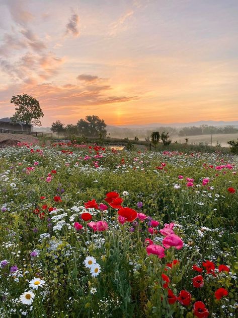 Farm Dream, Wild Flower Meadow, Landscape Photography Nature, Wildflower Garden, Beautiful Landscape Wallpaper, Aesthetic Photography Nature, Beautiful Backgrounds, Nature Aesthetic, Pictures To Paint