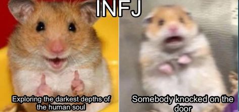 Infj Meme, Myers Briggs Infj, Infj And Entp, Personalidad Infj, Infj Humor, Infj Psychology, Intj And Infj, Infj Mbti, Infj Personality Type