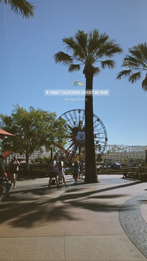 Disneyland Ig Stories, Disneyland California Photo Ideas, Disneyland Story Instagram, Disney Ig Story, Disney Insta Story, Disney Instagram Story Ideas, Disney California Adventure Photo Ideas, Disneyland Instagram Stories, Disney Instagram Story