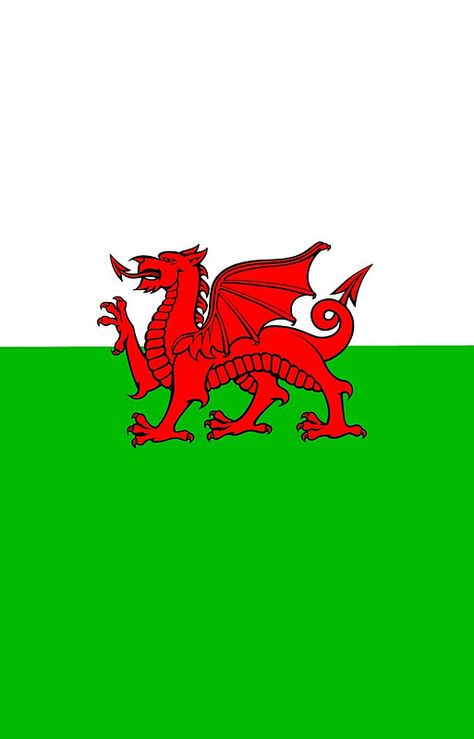 Flag Of Wales Wales National Football Team, Pixel Dragon, Welsh Words, Wales Flag, Medieval Tattoo, Welsh Flag, Aphmau Characters, United Kingdom Flag, Welsh Dragon