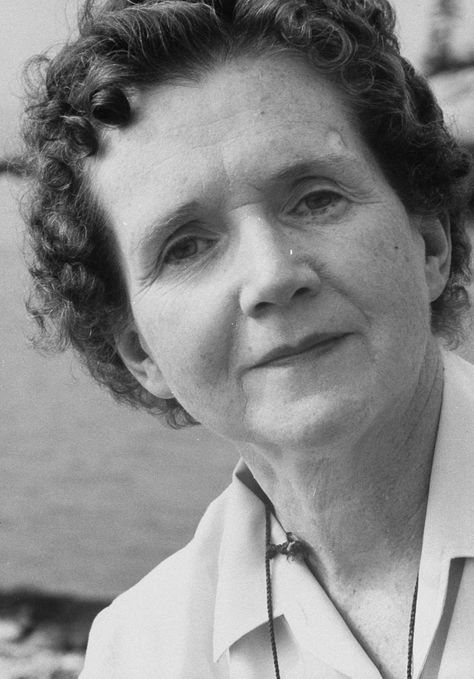 The Right Way to Remember Rachel Carson | The New Yorker Rachel Carlson, Silent Spring, Rachel Carson, Children Praying, Book Background, Great Women, The New Yorker, New Yorker, Strong Women