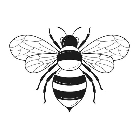 Bee Outline, Bee Template, Bee Sketch, Bee Svg, Bee Images, Bee Drawing, Bee Coloring Pages, Bee Illustration, Outline Illustration