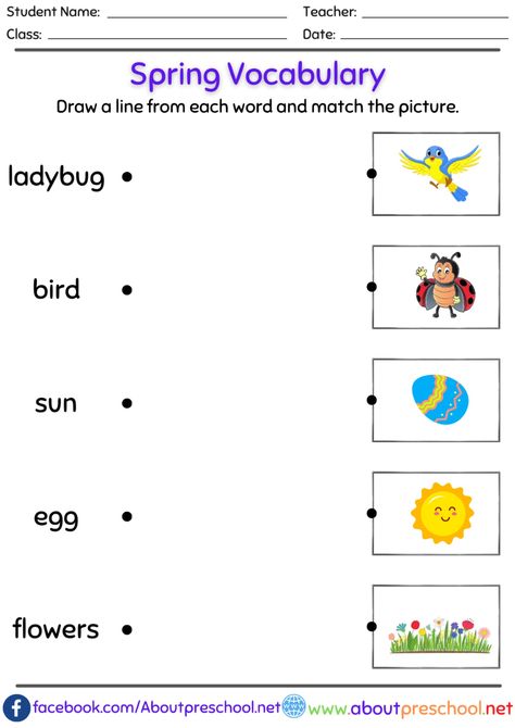 Spring Vocabulary Worksheet PDF Spring Worksheets Preschool, Spring Worksheets, Spring Word Search, Spring Vocabulary, Worksheet For Preschool, Spring Worksheet, Preschool Spring, Teacher Aesthetic, Spring Words