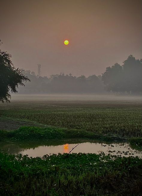 Foggy Morning Videos, Village Aesthetic Indian, Indian Village Aesthetic, Foggy Village, Village Morning, Pond Video, Early Morning Sun, Desi Aesthetics, Barbara Eden