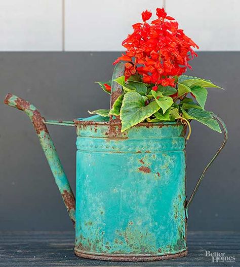 Repurpose your flea market finds into outdoor accents. Transform your vintage finds into gardening statement pieces by making them into plant containers. Get the details to our DIY how-to here. Landscape Lighting Ideas Front Yards, Repurposed Planter, Landscape Lighting Ideas, Evergreen Landscape, Rustic Fire Pits, Garden Shrubs, Watering Cans, Front Yard Landscaping Simple, Front Yards